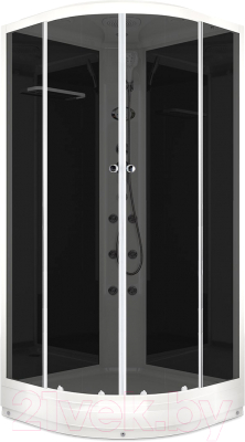 Душевая кабина Domani-Spa Delight 88 / DS01D88LBT10 (черный/тонированное стекло) - фото