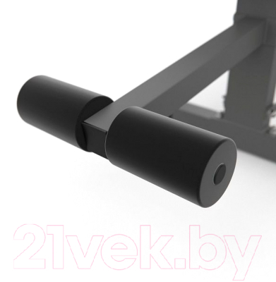 Скамья многофункциональная DFC D2031T