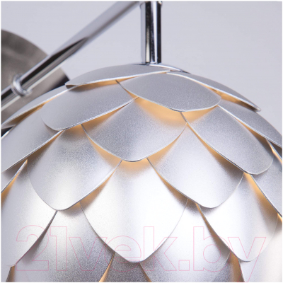 Бра Bogate's Cedro 304