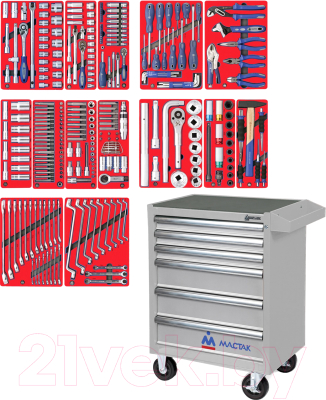 Универсальный набор инструментов Мастак 52-06299G - фото