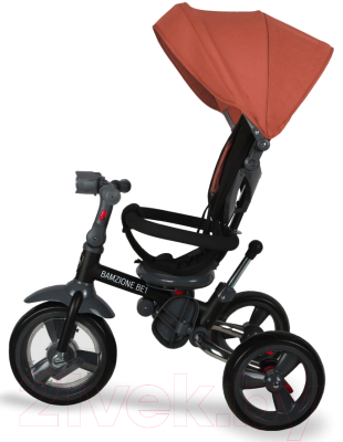 Трехколесный велосипед с ручкой Nuovita Bamzione BE1