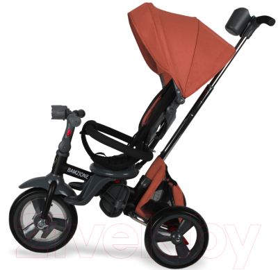 Трехколесный велосипед с ручкой Nuovita Bamzione BE1