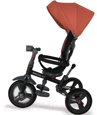 Трехколесный велосипед с ручкой Nuovita Bamzione BE1