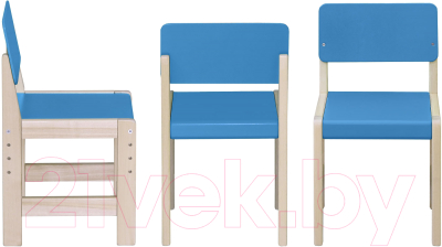 Стул детский Элегия Регулируемый