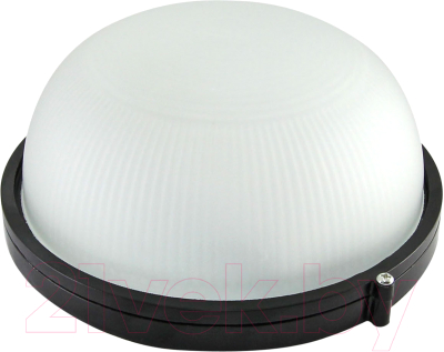 Светильник ЖКХ TDM SQ0303-0025 - фото