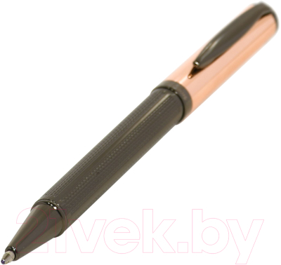 Ручка шариковая Manzoni Panteon / MAPB-BG