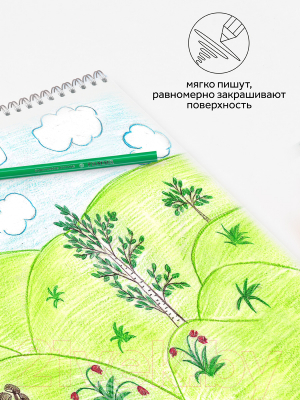 Набор цветных карандашей ГАММА Оранжевое солнце / 260220211