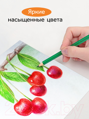 Набор цветных карандашей ГАММА Оранжевое солнце / 260220211