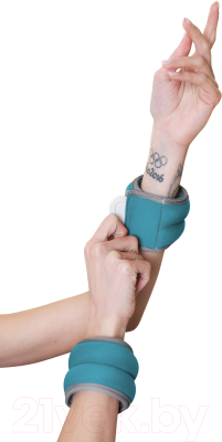 Комплект утяжелителей Indigo Идеал 2x0.5кг / SM-408