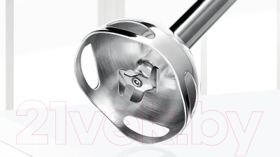 Блендер погружной Bosch MS6CB61V1