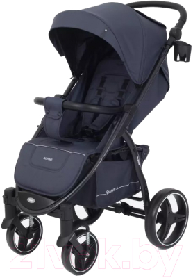 Детская прогулочная коляска Rant Alpine / RA450 (Graphite) - фото