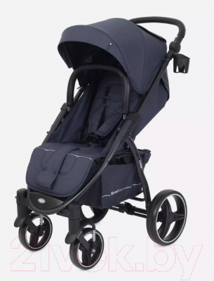 Детская прогулочная коляска Rant Alpine / RA450 (Graphite)