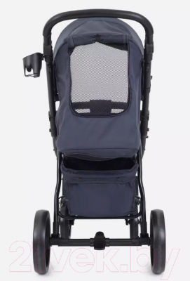 Детская прогулочная коляска Rant Alpine / RA450 (Graphite)