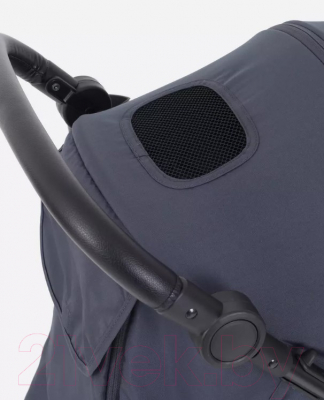 Детская прогулочная коляска Rant Alpine / RA450 (Graphite)