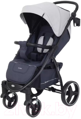 Детская прогулочная коляска Rant Alpine / RA450 (Grey) - фото