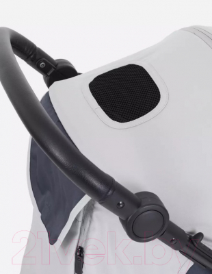 Детская прогулочная коляска Rant Alpine / RA450 (Grey)