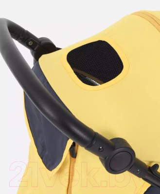 Детская прогулочная коляска Rant Alpine / RA450 (Yellow)