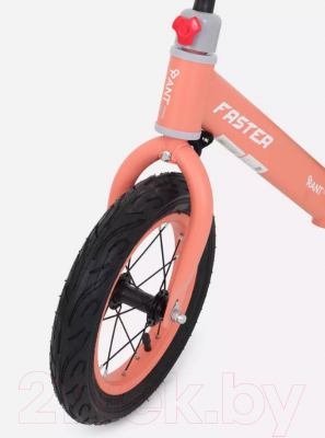 Беговел Rant Faster / RB125