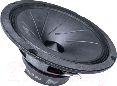 Среднечастотная АС AMP Mass FR65 - фото