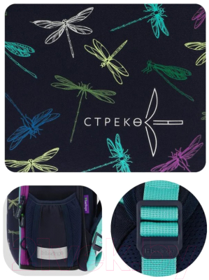 Школьный рюкзак Berlingo Expert Mini. Dragonfly / RU09046