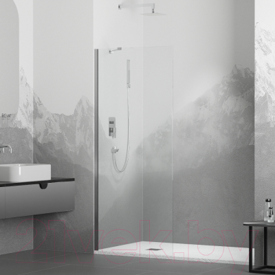 Душевая стенка RGW WA-102 / 351010212-11