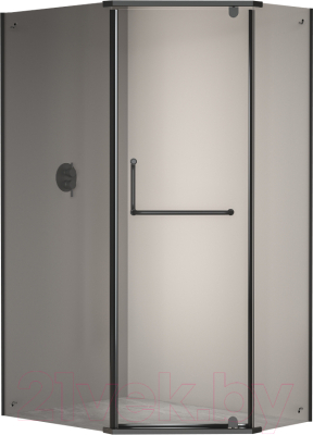 Душевой уголок RGW PA-091 / 35089180-14 - фото