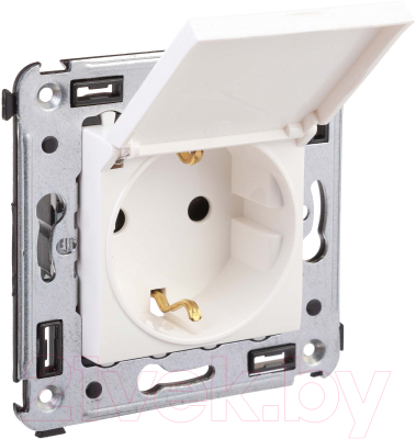 Розетка DKC Avanti 4400013 - фото