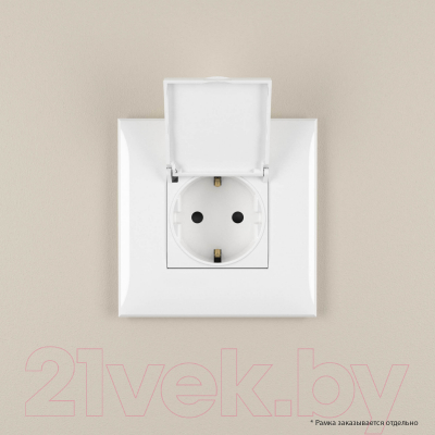 Розетка DKC Avanti 4400293
