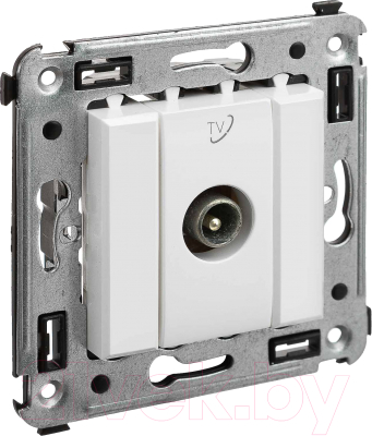 Розетка DKC Avanti 4400513 - фото