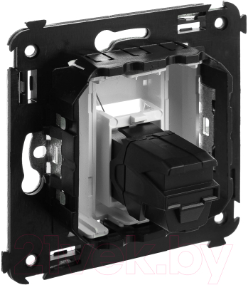 Розетка DKC Avanti 4400303