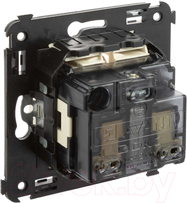 Розетка DKC Avanti 4405003