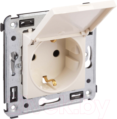 Розетка DKC Avanti 4405013 - фото