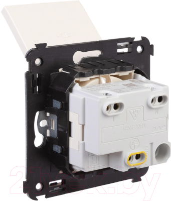 Розетка DKC Avanti 4405013