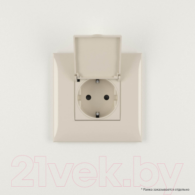 Розетка DKC Avanti 4405013