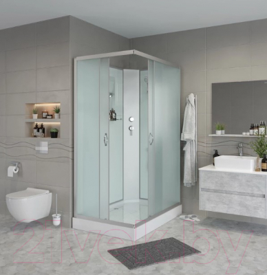 Душевая кабина Niagara NG-43285-14QBK 120x80x200