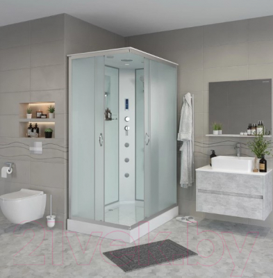 Душевая кабина Niagara NG-43285-14QF 120x80x215