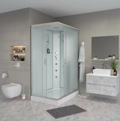 Душевая кабина Niagara NG-43285-14QG 120x80x215