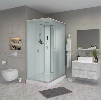 Душевая кабина Niagara NG-43285-14QP 120x80x215