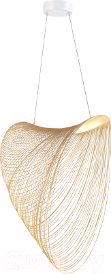 Потолочный светильник ST Luce SL6900.503.32 - фото