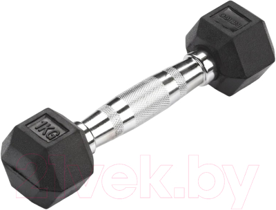 Гантель Indigo Sport IN124 - фото