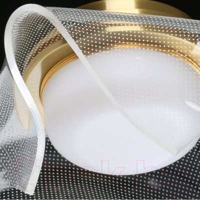 Потолочный светильник De Markt Ауксис 722012101