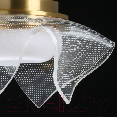 Потолочный светильник De Markt Ауксис 722012101