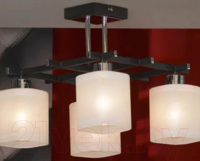 Люстра Lussole Costanzo LSL-9007-04