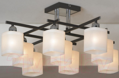 Люстра Lussole Costanzo LSL-9007-09