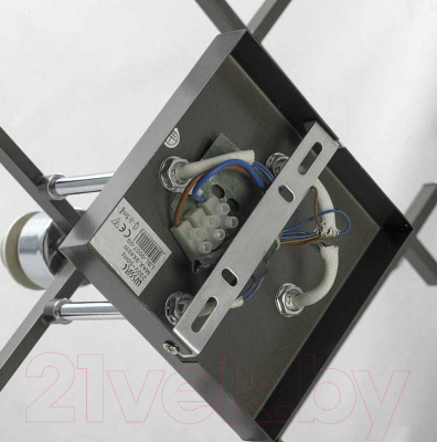 Люстра Lussole Costanzo LSL-9007-09