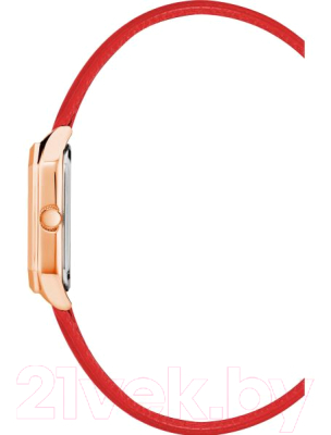 Часы наручные женские Anne Klein 3874RGRD