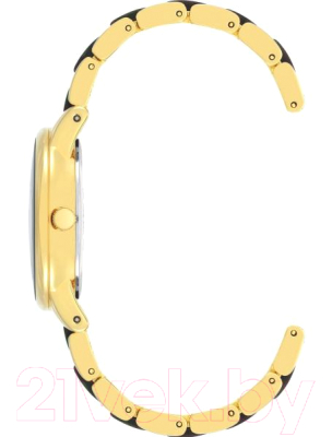 Часы наручные женские Anne Klein 3878GMGY