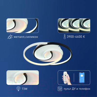 Потолочный светильник Rivoli Abby 6101-103 / Б0059008