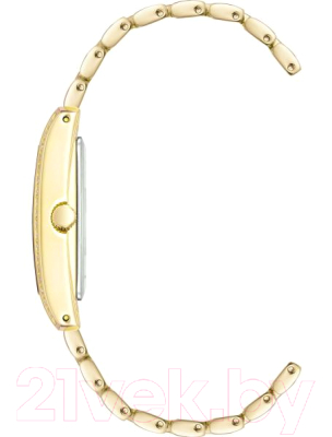 Часы наручные женские Anne Klein 3990GBST