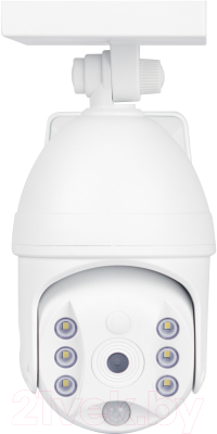 Светильник уличный ЭРА ERAFS012-10 / Б0057600